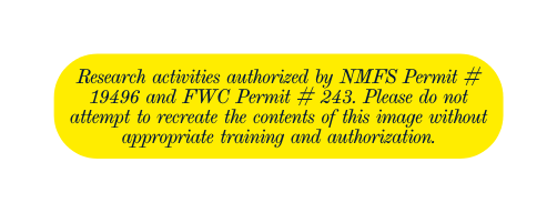 Research activities authorized by NMFS Permit 19496 and FWC Permit 243 Please do not attempt to recreate the contents of this image without appropriate training and authorization